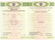 Диплом ПТУ (Училища) с 2011 по 2025 годы