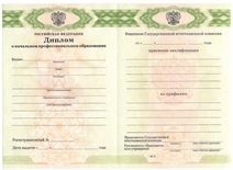 Диплом ПТУ с 2011 по 2025 годы
